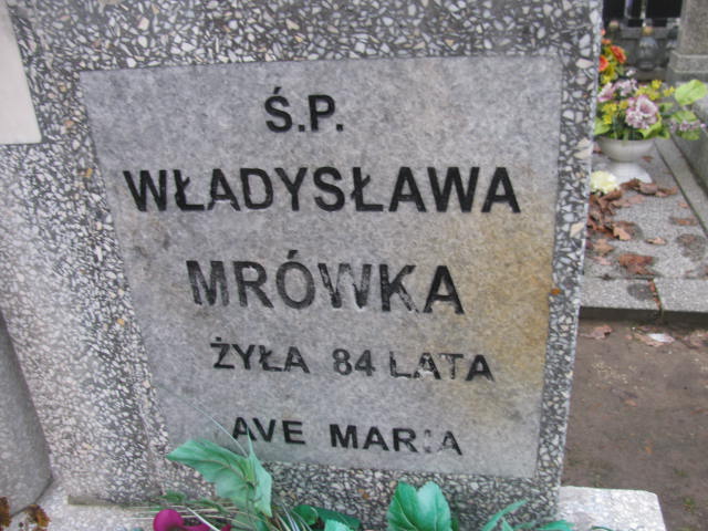 Władysława Mrówka 1908 Suchań - Grobonet - Wyszukiwarka osób pochowanych